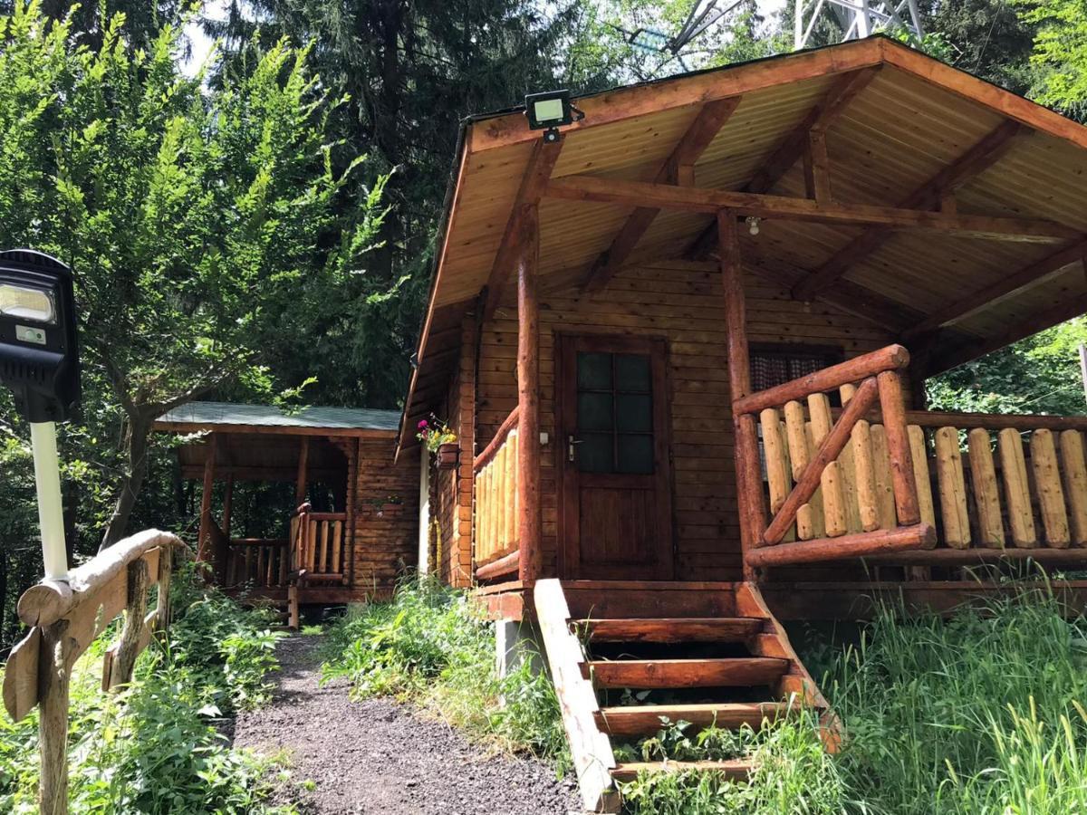 Cabanute Si Camping Dracula Capatineni-Paminteni エクステリア 写真