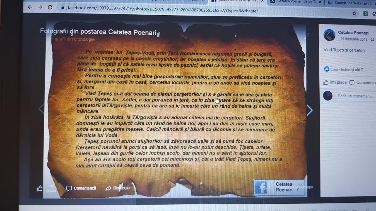 Cabanute Si Camping Dracula Capatineni-Paminteni エクステリア 写真