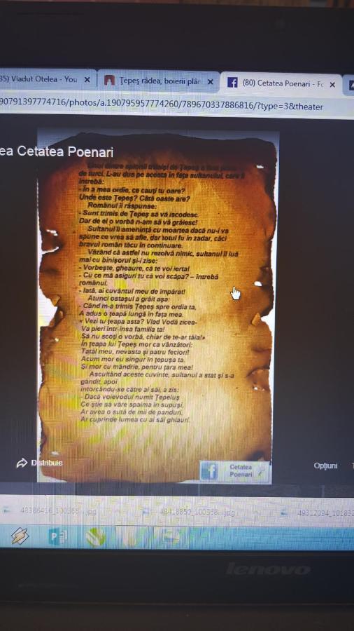 Cabanute Si Camping Dracula Capatineni-Paminteni エクステリア 写真