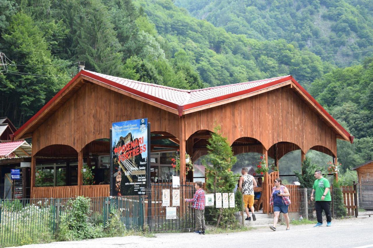 Cabanute Si Camping Dracula Capatineni-Paminteni エクステリア 写真