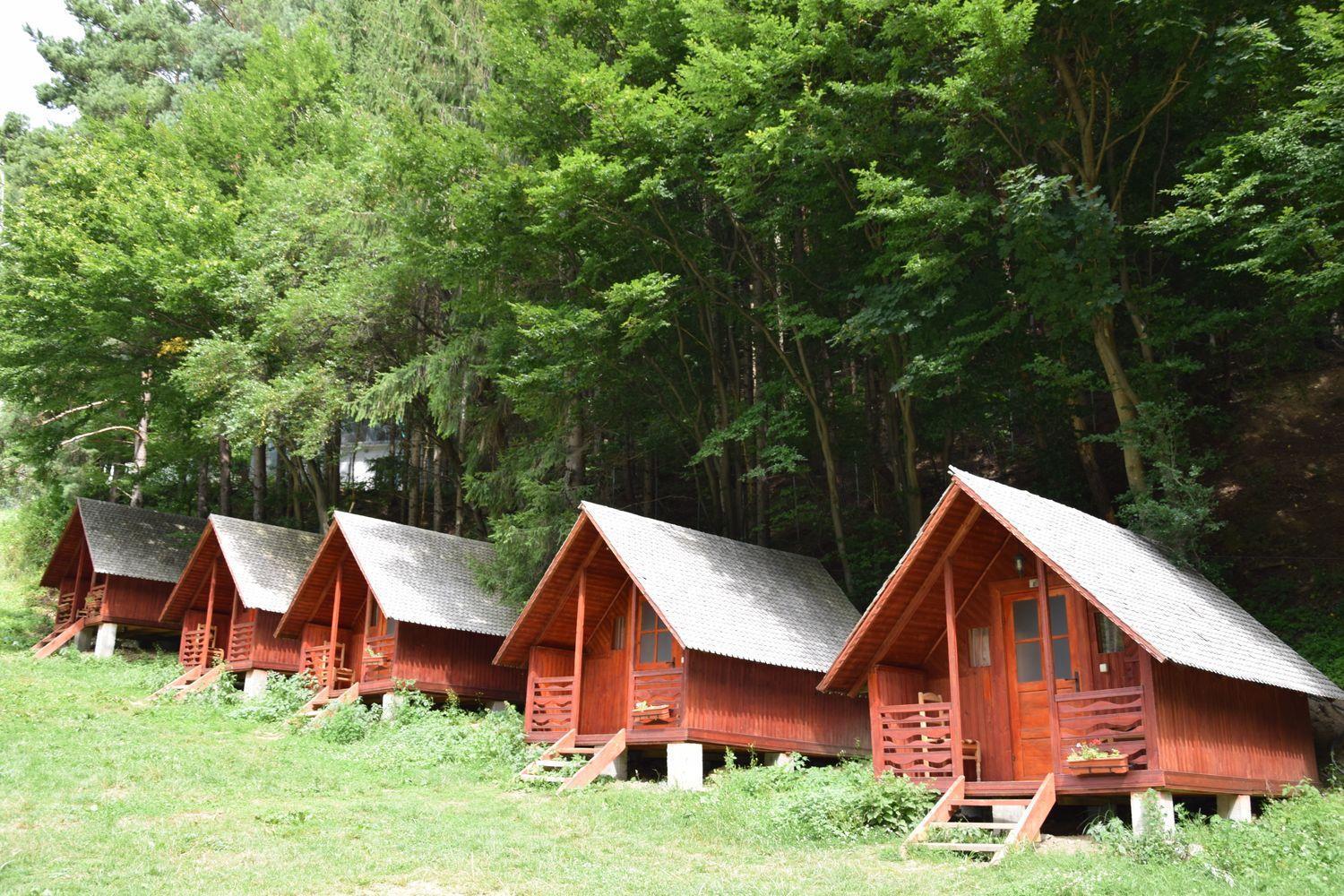 Cabanute Si Camping Dracula Capatineni-Paminteni エクステリア 写真