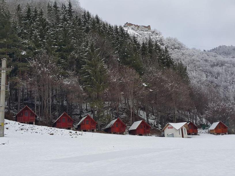 Cabanute Si Camping Dracula Capatineni-Paminteni エクステリア 写真