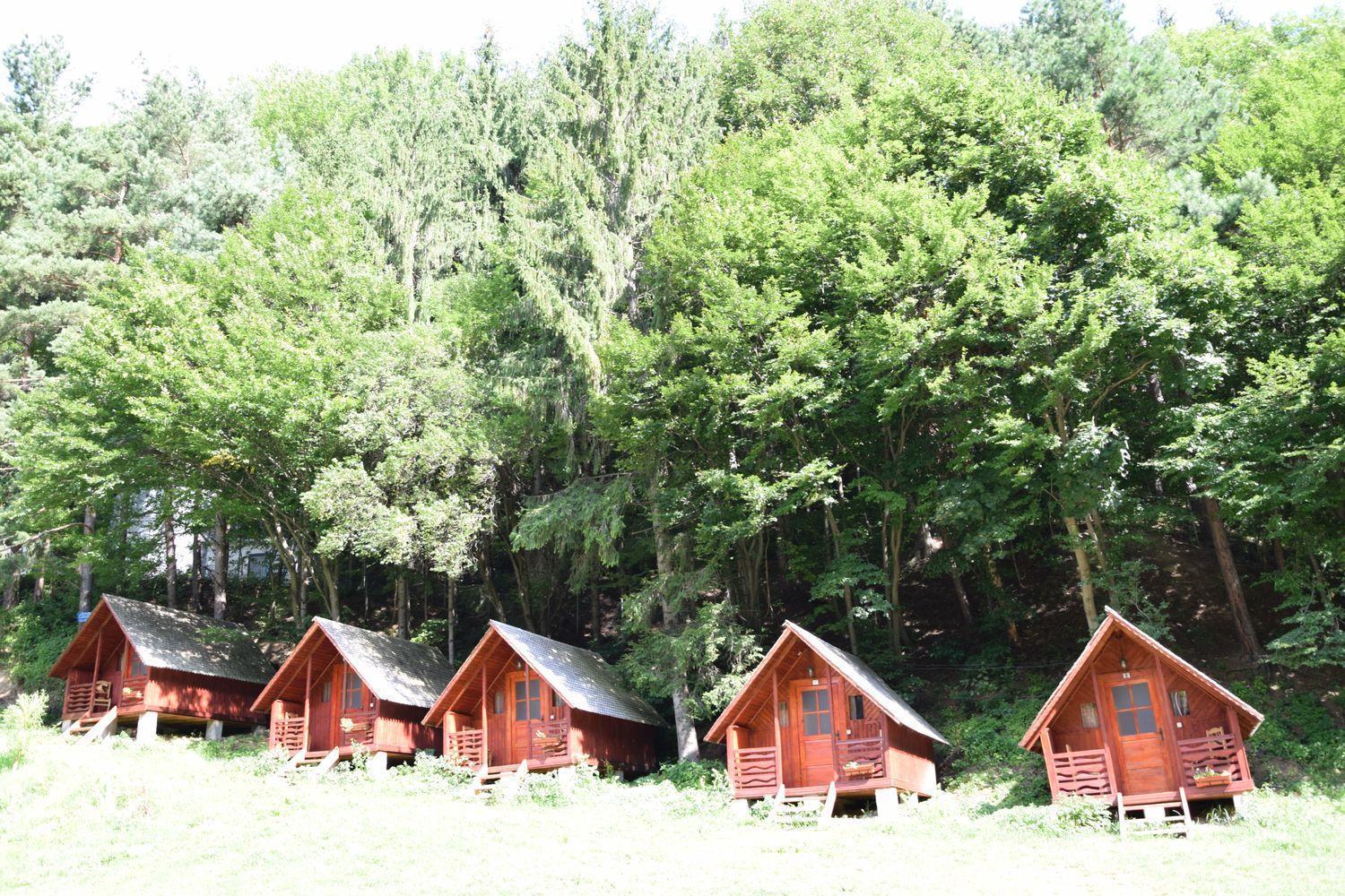 Cabanute Si Camping Dracula Capatineni-Paminteni エクステリア 写真